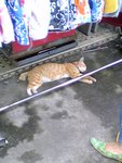 picture013
