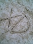 picture015