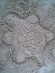picture018