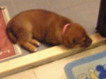 成日訓~zzz
06-05-24_22-49