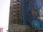 T8 dismantle bamboo scaffloding-shing
