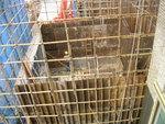 H8 2F-roof wallform erection-shing