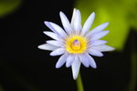 _DSC6170_resize