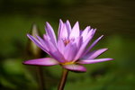 _DSC6178_resize