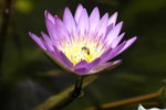 _DSC6269_resize