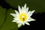 _DSC6486_resize
