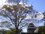 P1020204