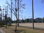 P1020274