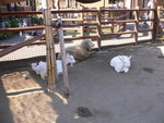 P1020311