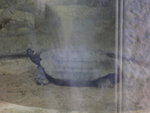 P1020335