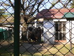 P1020344