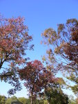 P1020350