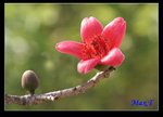照片 001