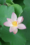 照片 004