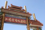 照片 566