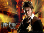 333486434_5e50bd3be5
