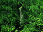 Green3