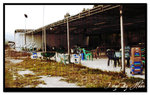 Untitled-122004