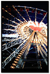 Untitled-CC004777