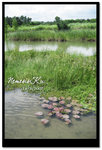 Untitled-CC0207