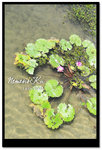 Untitled-CC0208