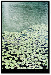 Untitled-CC0301