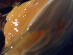 20060730355