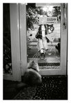 cat18
