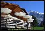 Grindelwald (56) (ROP framed)