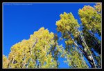 Hobart, Road Side (10) (ROP) Comp