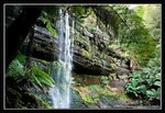 Mount Field National Park (19) (ROP) Comp