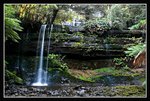 Mount Field National Park (21) (ROP) Comp