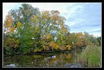 Richmond (6) (ROP) Comp