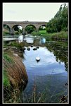 Richmond (7) (ROP) Comp