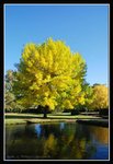 Salmon Ponds (0) (ROP) Comp