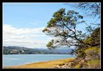 Tamar Valley (13) (ROP) Comp