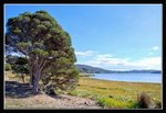 Tamar Valley (20) (ROP) Comp