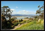 Tamar Valley (30) (ROP) Comp