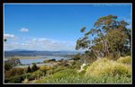 Tamar Valley (33) (ROP) Comp