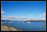 Tamar Valley - Beauty Point (6) (ROP) Comp