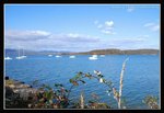 Tamar Valley - Beauty Point (7) (ROP) Comp