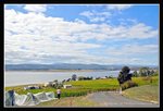 Tamar Valley - St.Matthia's Vineyard (30) (ROP) Comp