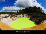 Rotorua - Wai-O-Tapu (287) fotop