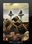 CYC_6189_1_1 fotop