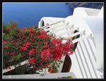 Fira (18) (ROP framed)