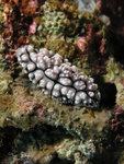 PA030587