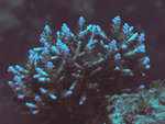 PA050819a