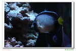 DSCN0038