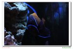 DSCN0043