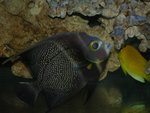 DSCN0264